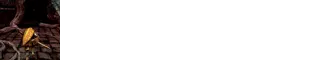 Dark Souls Remastered
